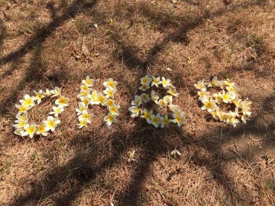 OHBB_flowers OHBB flowers